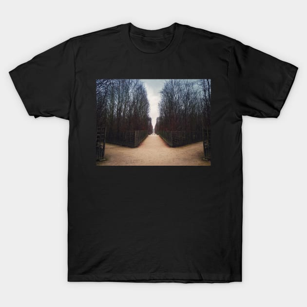 maze walkway T-Shirt by psychoshadow